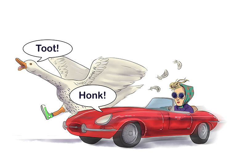 The honk is due (Honduras) to the car; the toot is due to the goose galloping post (Teguigalapa). You would expect the honk and the toot to be the other way around.